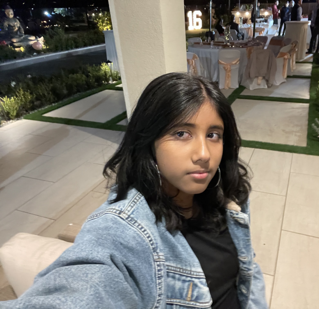 Ruhikaa Pannem